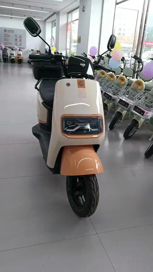 台铃可连接手机的电动车有哪些缩略图