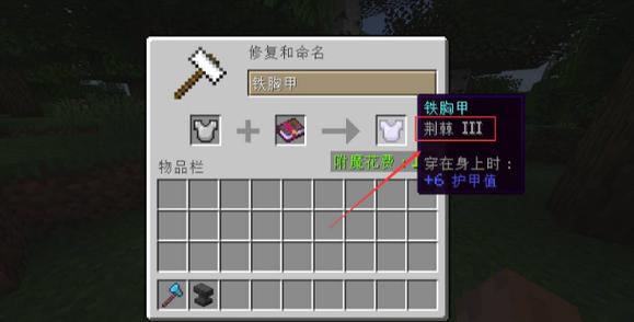 Minecraft荆棘英文缩略图