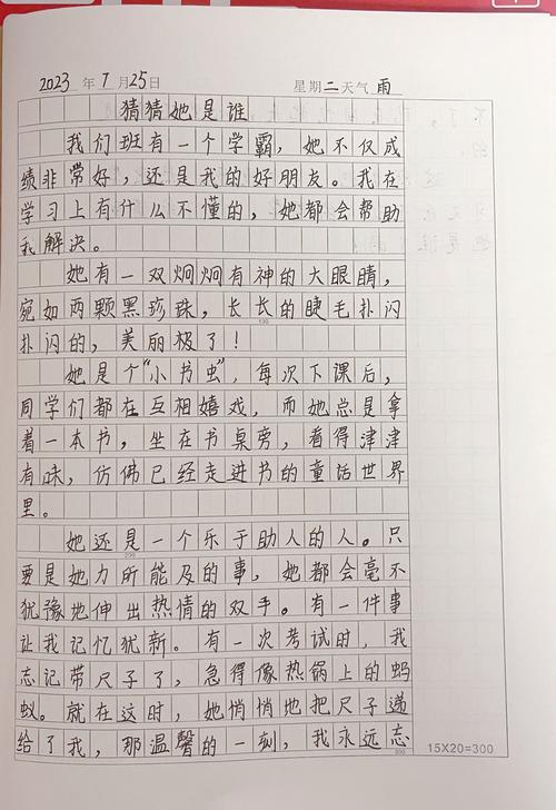 猜猜我是谁作文300字缩略图
