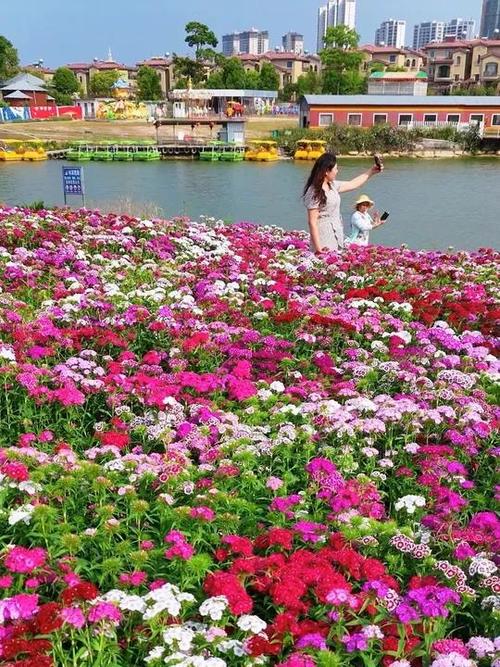 各种鲜花图片大全大图游戏截图