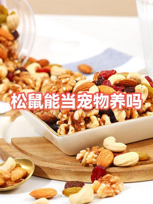 国家允许养松鼠吗游戏截图