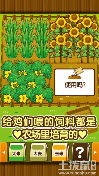 欢乐养鸡场赚钱游戏缩略图