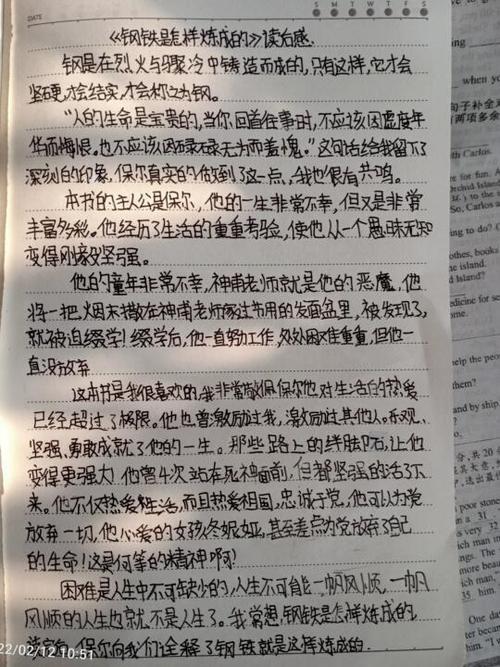 读礼仪书的读后感缩略图