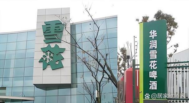 雪花北京科技有限公司缩略图