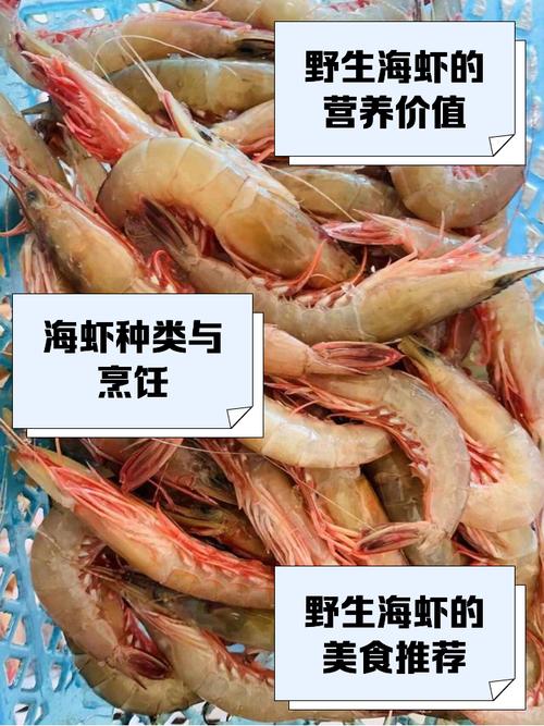 挨饿荒野菲律宾海虾在哪缩略图