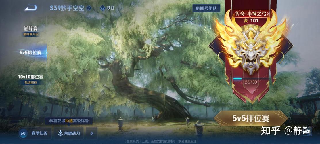 王者单排双排三排五排哪个好上分游戏截图