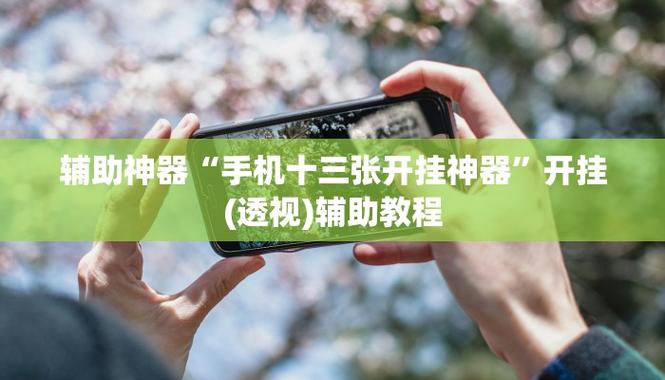 透视开挂器(免费)游戏截图