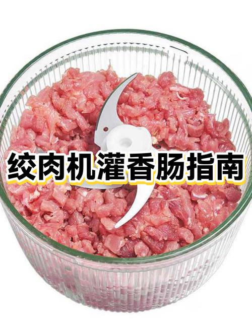 猪肉灌肠一般晾几天游戏截图