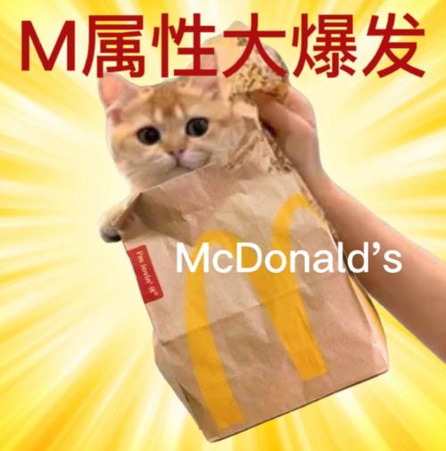 麦当劳什么意思m属性游戏截图