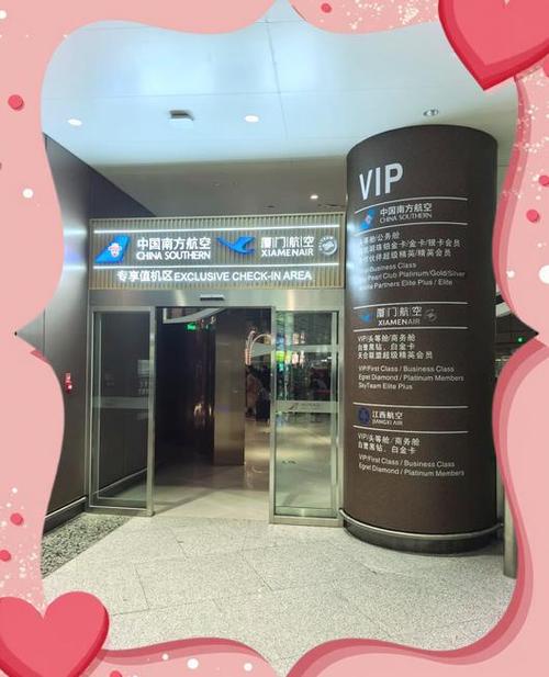 坐飞机走vip通道多少钱游戏截图
