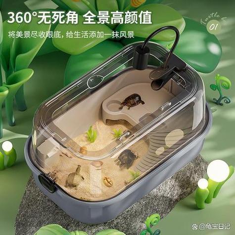 家庭养乌龟最佳方法缩略图