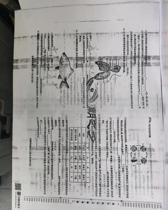 京瓷打印机打出来黑条缩略图