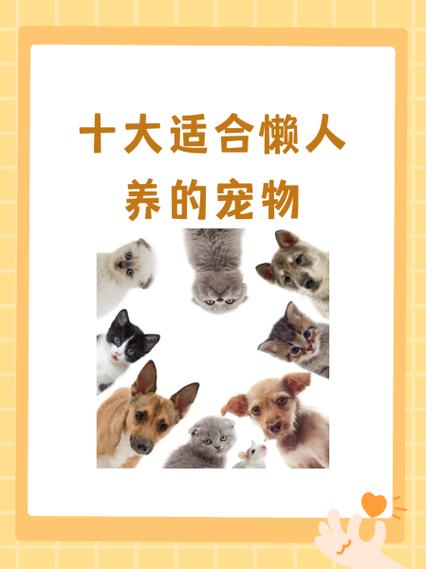 宠物最好养前十名缩略图