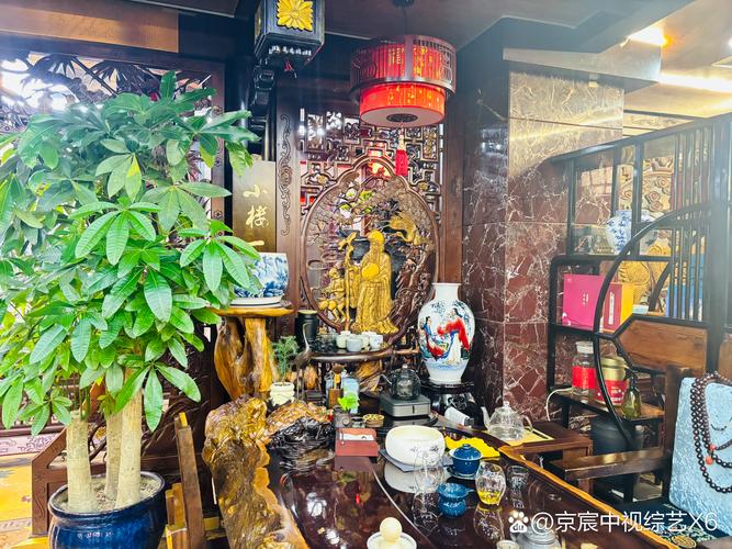 深圳51茶楼论坛缩略图