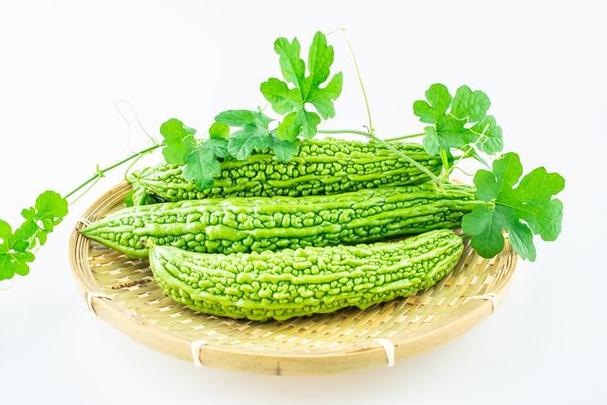 孕妇能吃苦瓜吗游戏截图