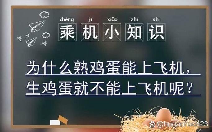 随身携带鸡蛋可以上飞机吗缩略图