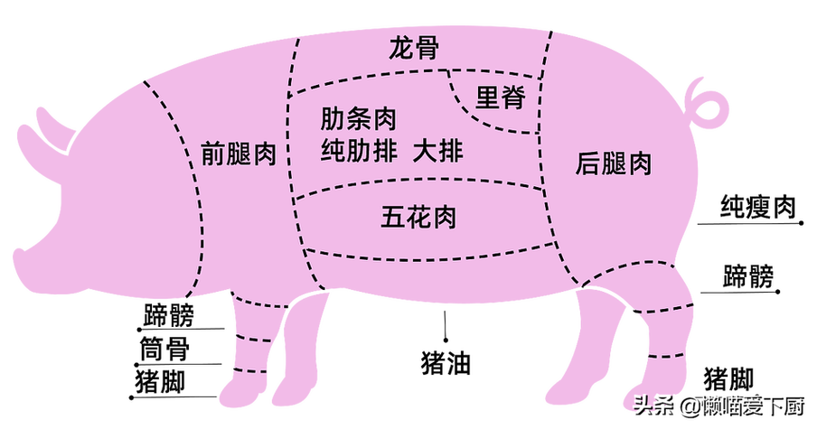 猪扒肉是哪个部位图片缩略图