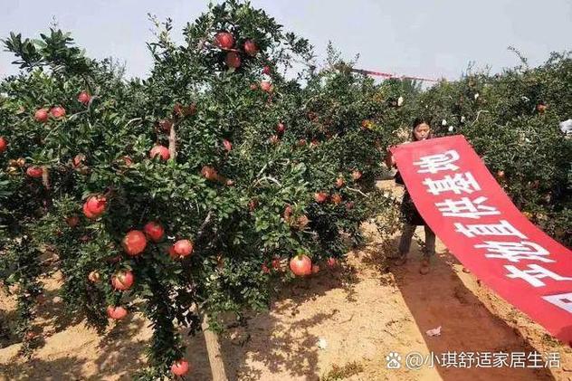 轻松致富好项目图标