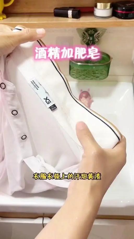 衣服上黄渍去除小窍门游戏截图