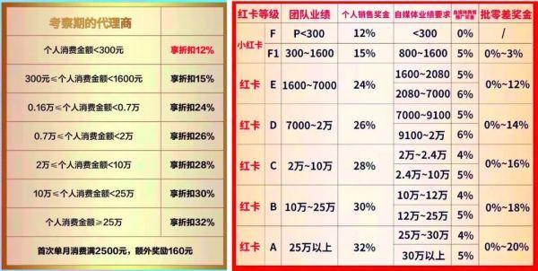 庭秘密销售模式缩略图