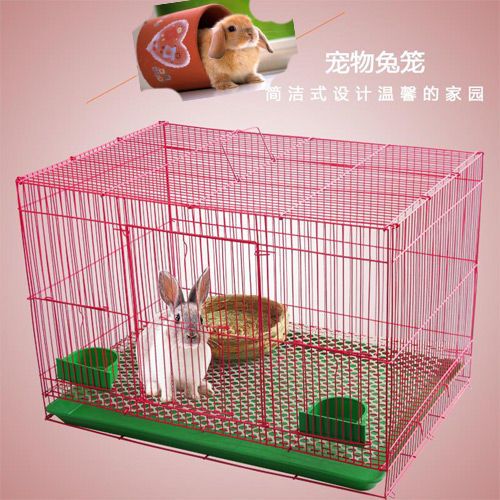 兔子买多大的笼子缩略图