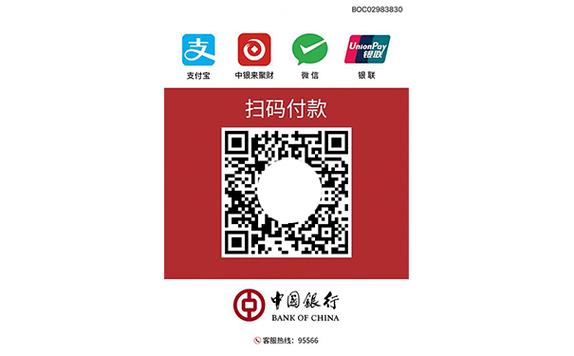 收款码显示支付失败游戏截图