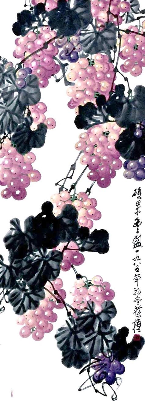 葡萄画作品欣赏缩略图