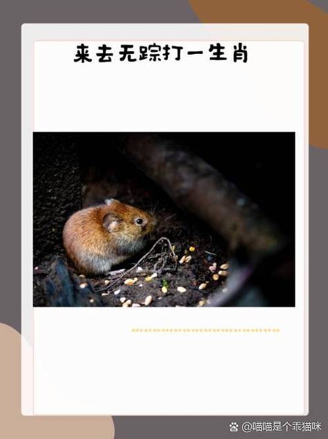 小红书笔记点赞不保留的原因缩略图