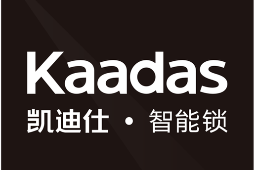 凯迪仕智能锁怎么样缩略图