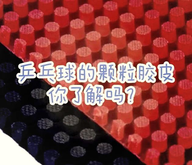 乒乓球拍胶皮能用多久游戏截图