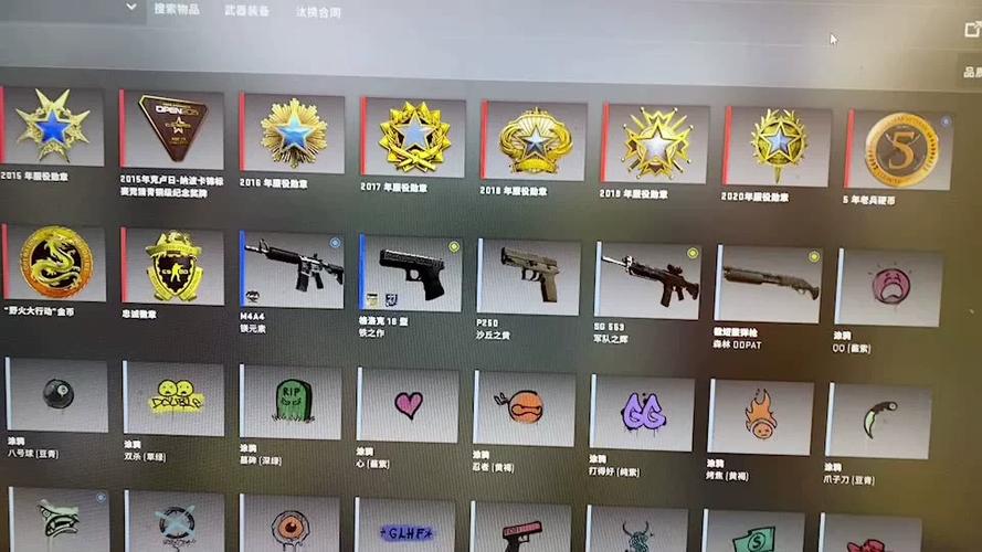 csgo勋章纯正图标