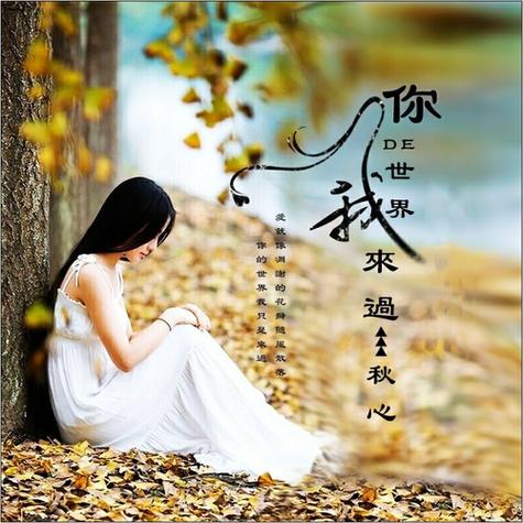 你的世界我来过原唱完整版缩略图