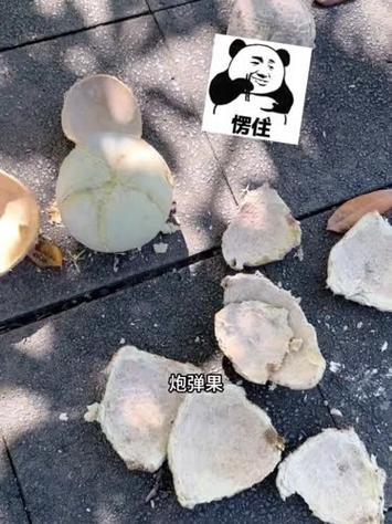 爆炸果为什么爆炸游戏截图