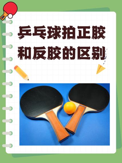 乒乓球拍胶皮多久换一次缩略图