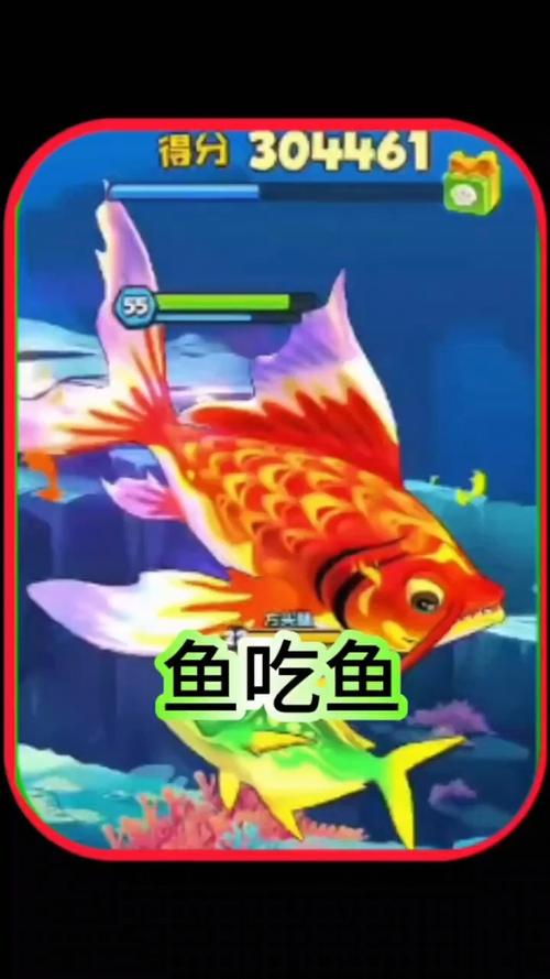 鱼吃鱼锦鲤体验卡缩略图