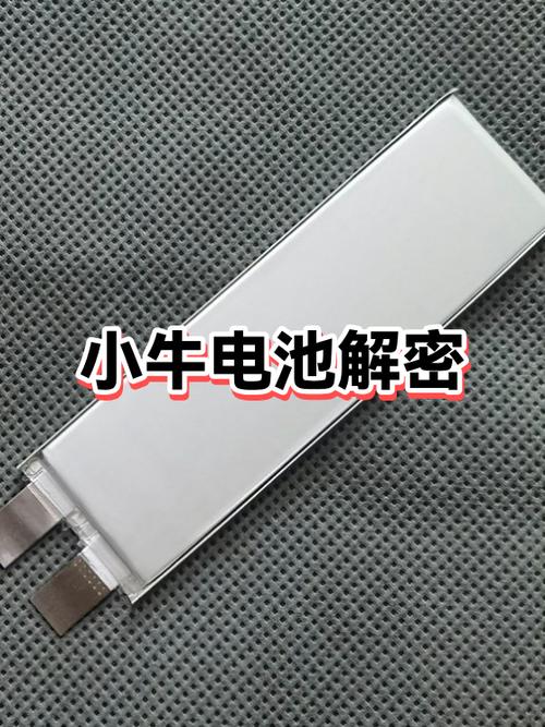 小牛电动车电池盖板怎么打开游戏截图