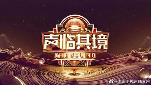 国产口碑最好音响缩略图