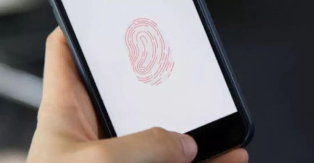 指纹和密码哪个安全游戏截图
