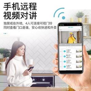 门猫眼摄像头监控游戏截图