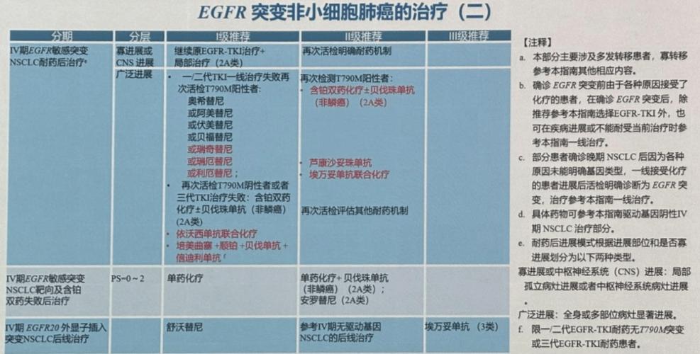 肺部肿瘤治疗方法游戏截图