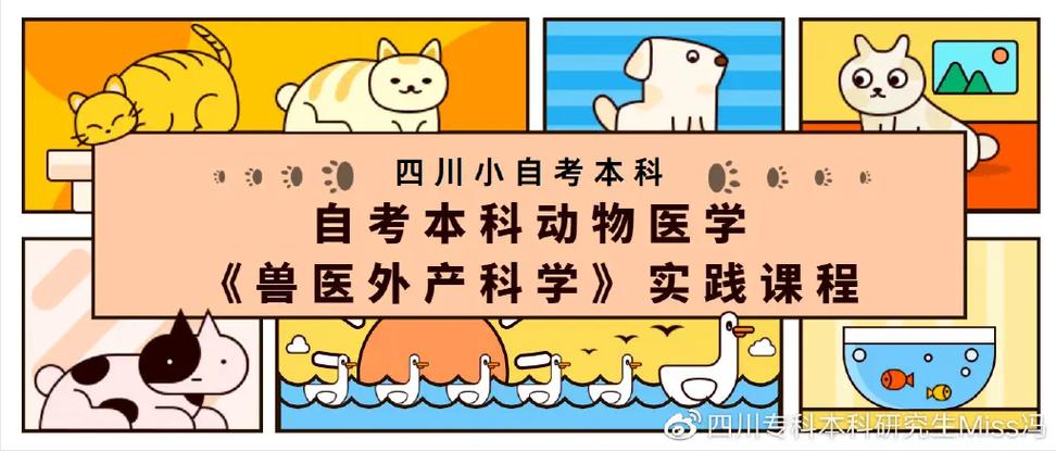 兽医英语谐音缩略图
