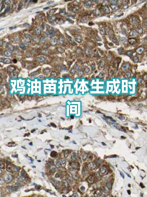 怎么设置电脑开机不自动启动软件缩略图