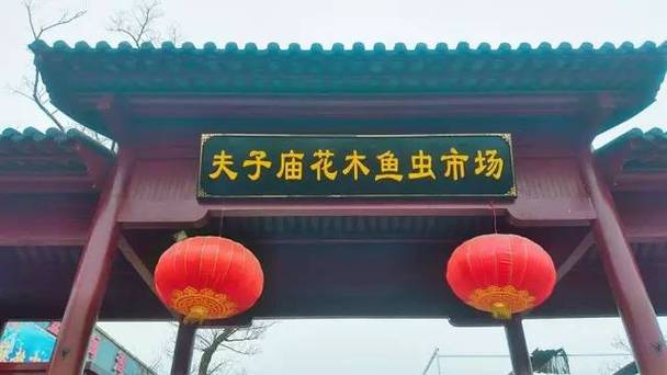 东莞最大花鸟鱼虫市场在哪缩略图