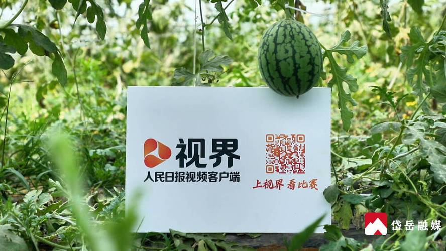 平板电脑电视直播软件哪个好缩略图