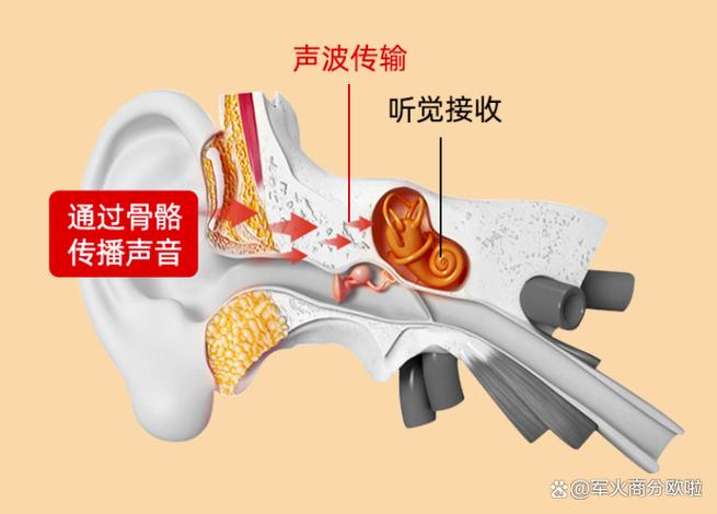 骨传导什么意思缩略图