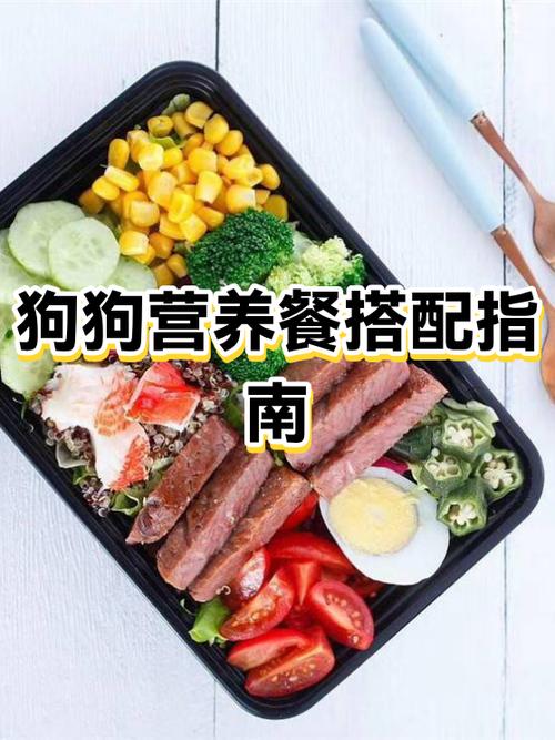 狗可以吃鸡肉香肠吗游戏截图