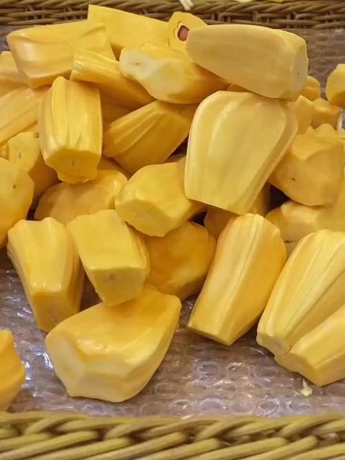 菠萝蜜的肉脆的算熟了吗缩略图