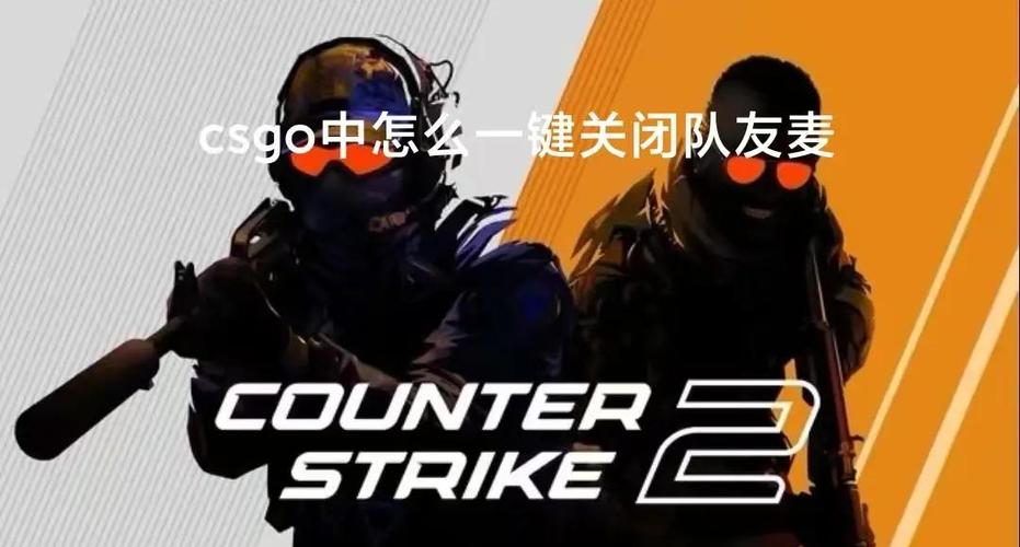 csgo屏蔽队友语音缩略图