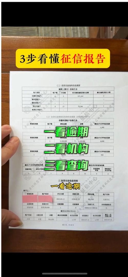 征信报告查询图标
