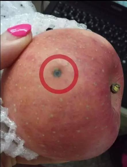 苹果最上面那个小孔是什么缩略图